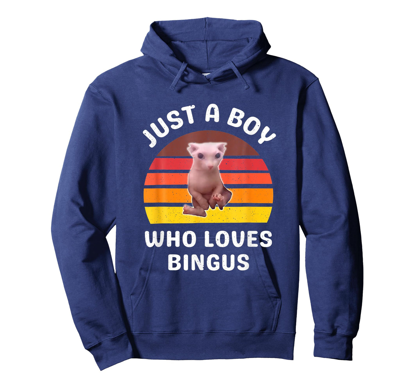 Just A Boy Who Loves Bingus Funny Hairless Sphynx Cat T-Shirt