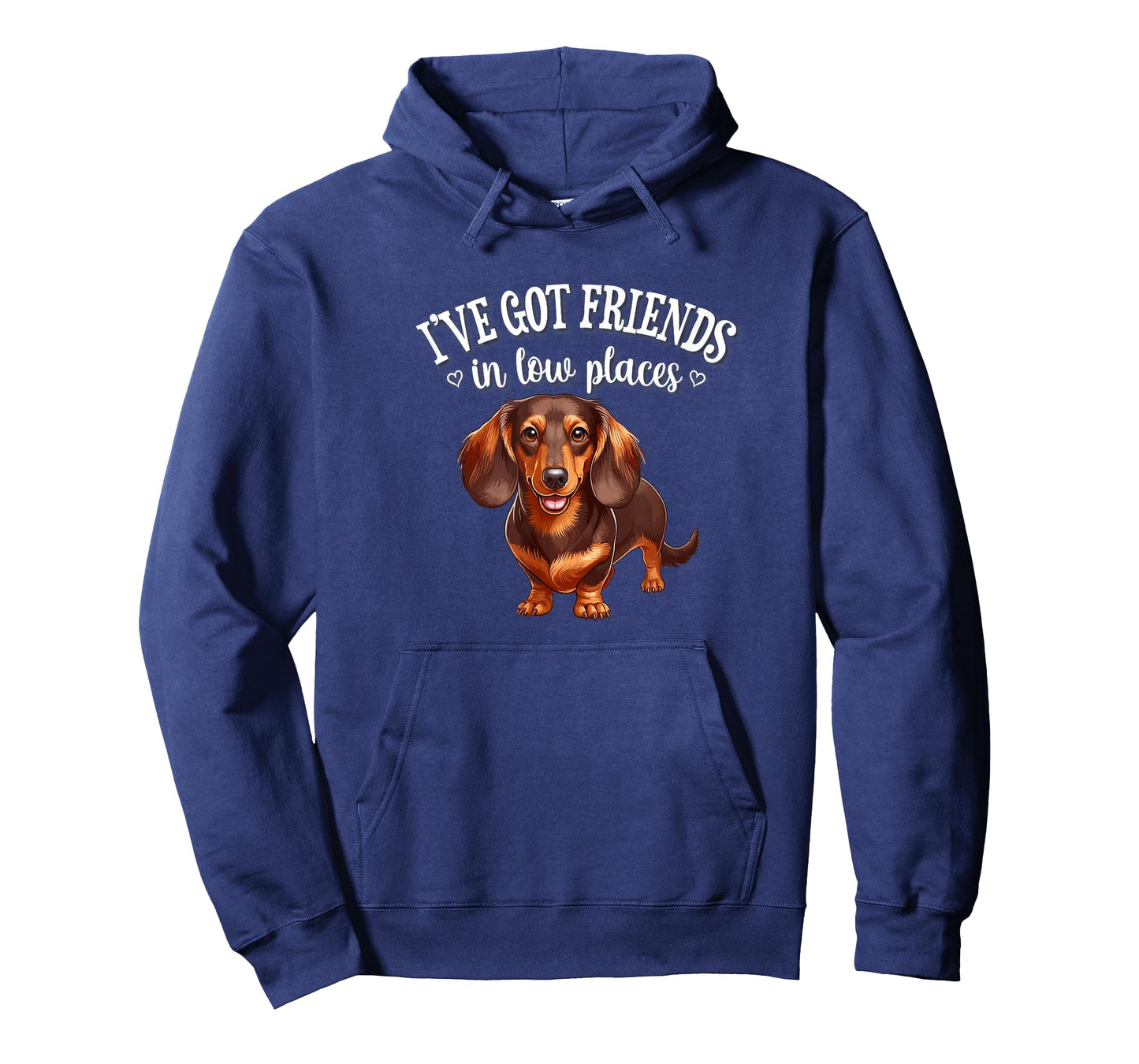 Funny Friends In Low Places Brown Dachshund Lover T-Shirt