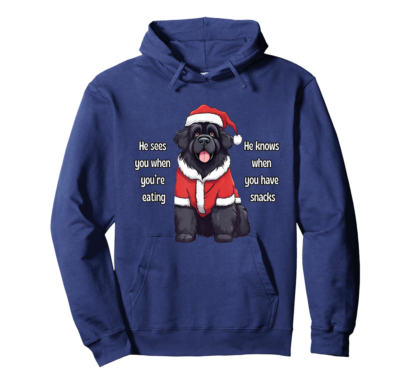 He Sees You When You're Eating Funny Newfoundland Christmas T-Shirt