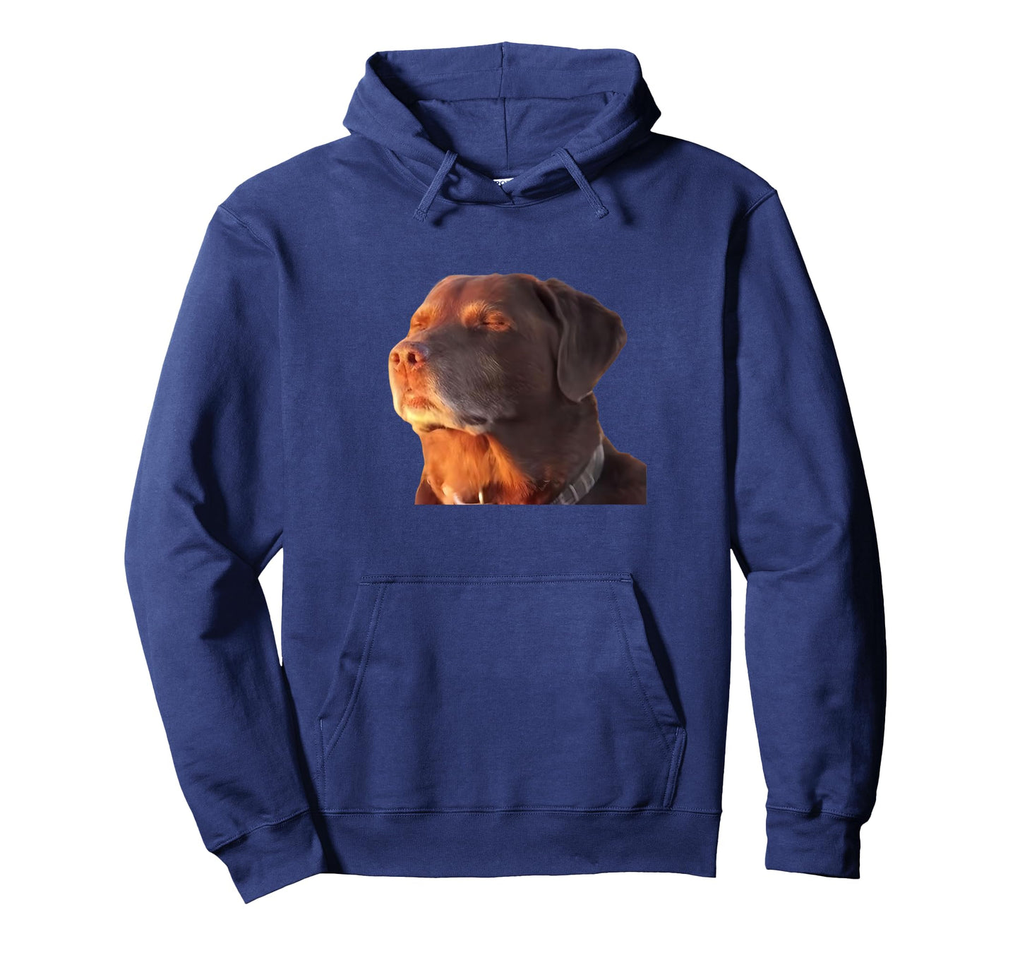 Dog Accepting His Fate Funny Men Women T-Shirt