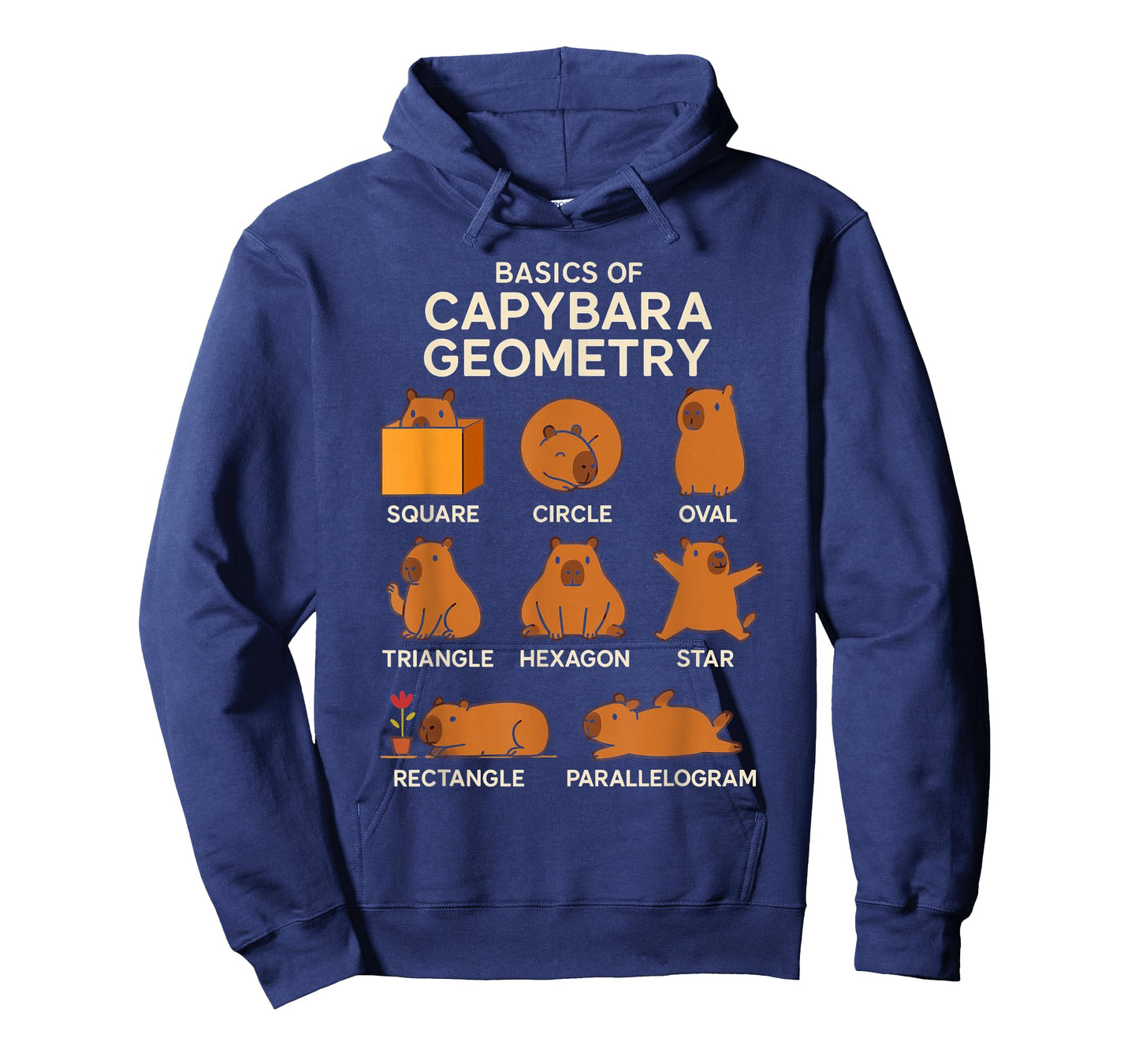 Basic Capybara Geometry Cute Capybara Lover Math School T-Shirt