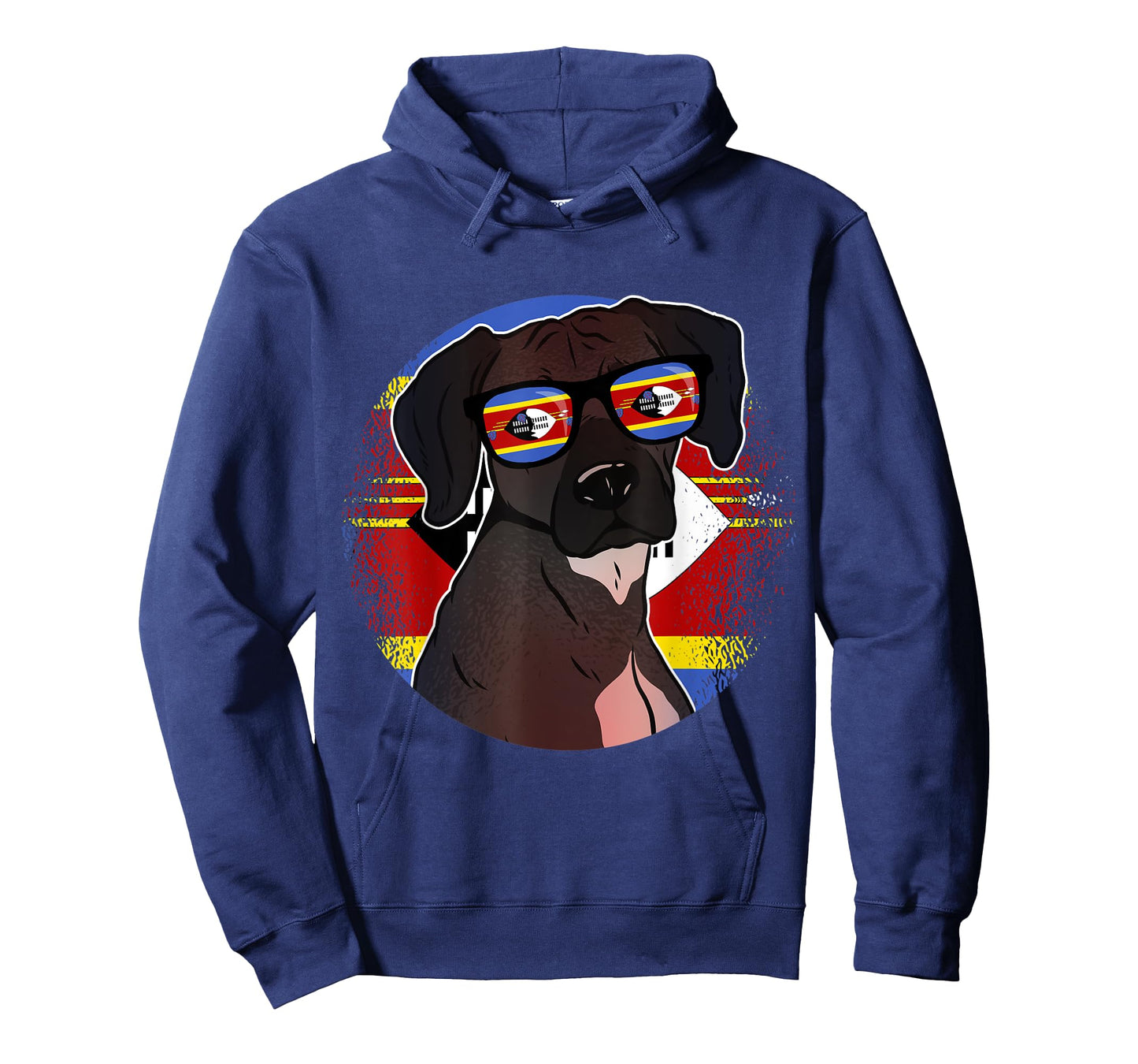 Swaziland T-Shirt