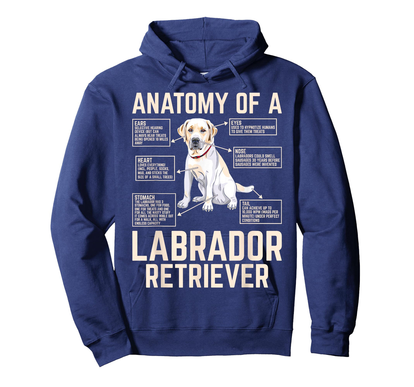 Anatomy of a Labrador Retriever T-Shirt