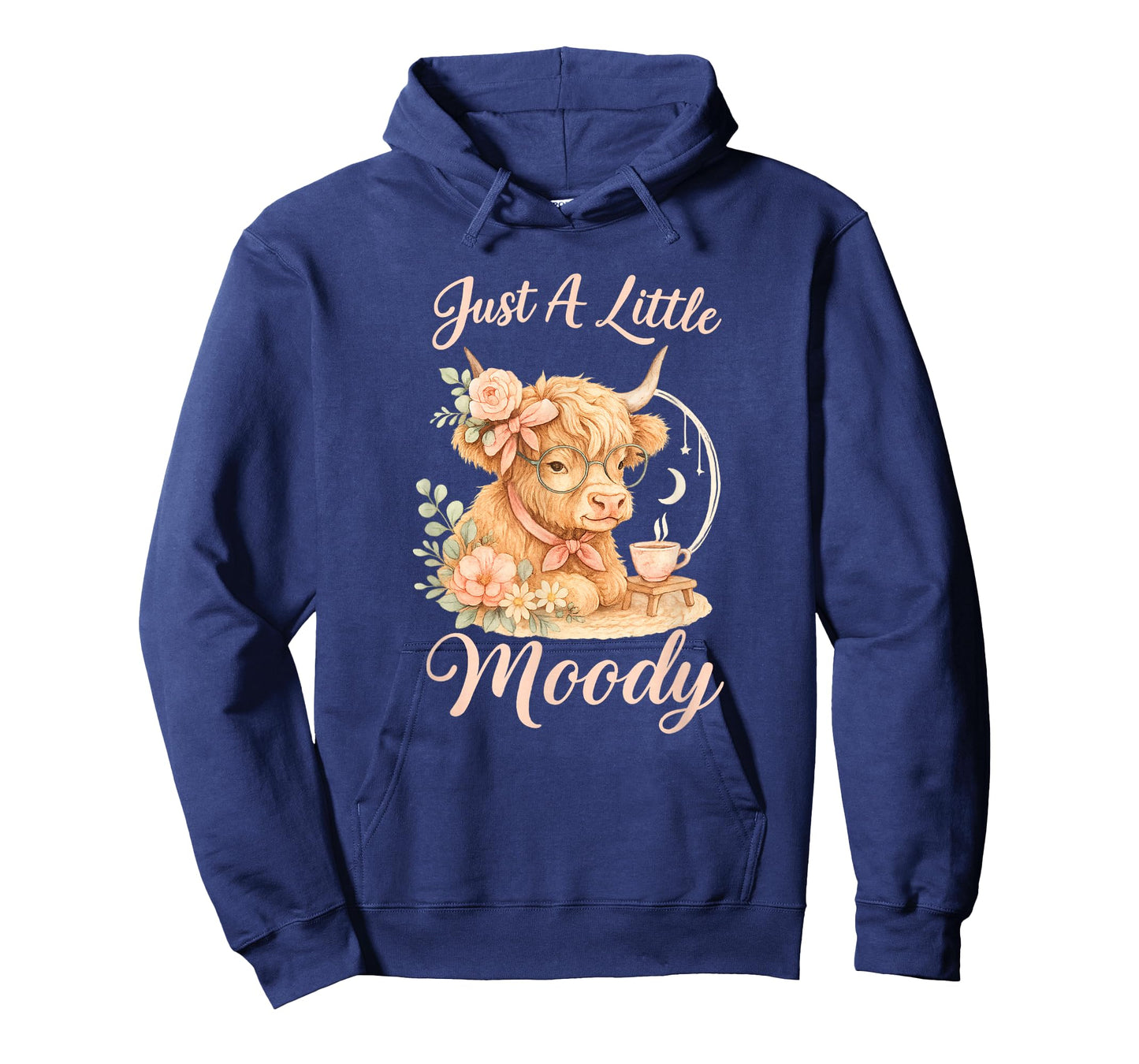 Just A Little Moody Cute Highland Cow Aesthetic T-Shirt