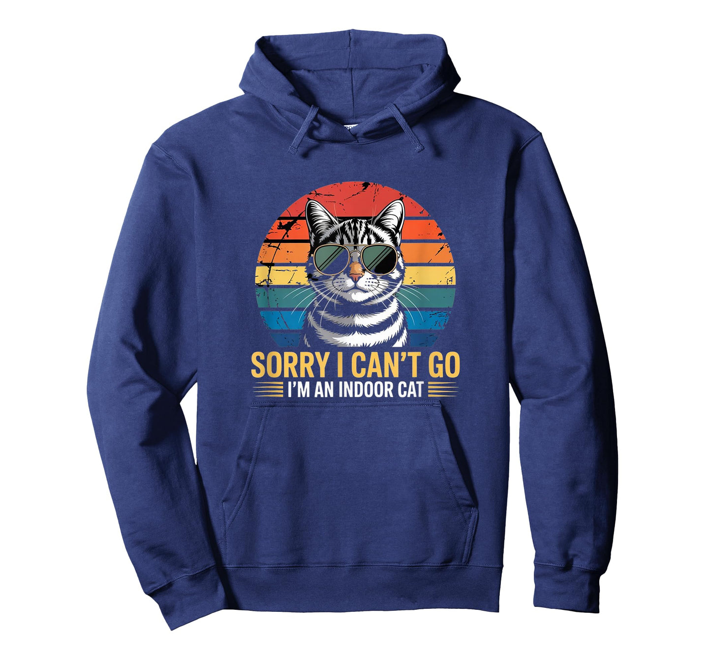 Sorry I Can’t Go – I’m an Indoor Cat Vintage Tee T-Shirt