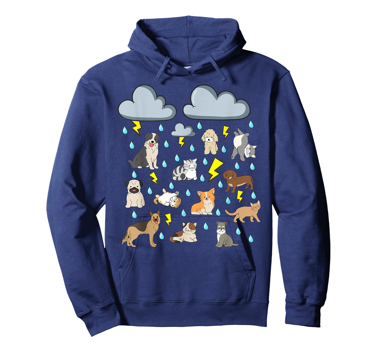 Funny English Idiom Raining Cats and Dogs Puppies Kitten pet T-Shirt