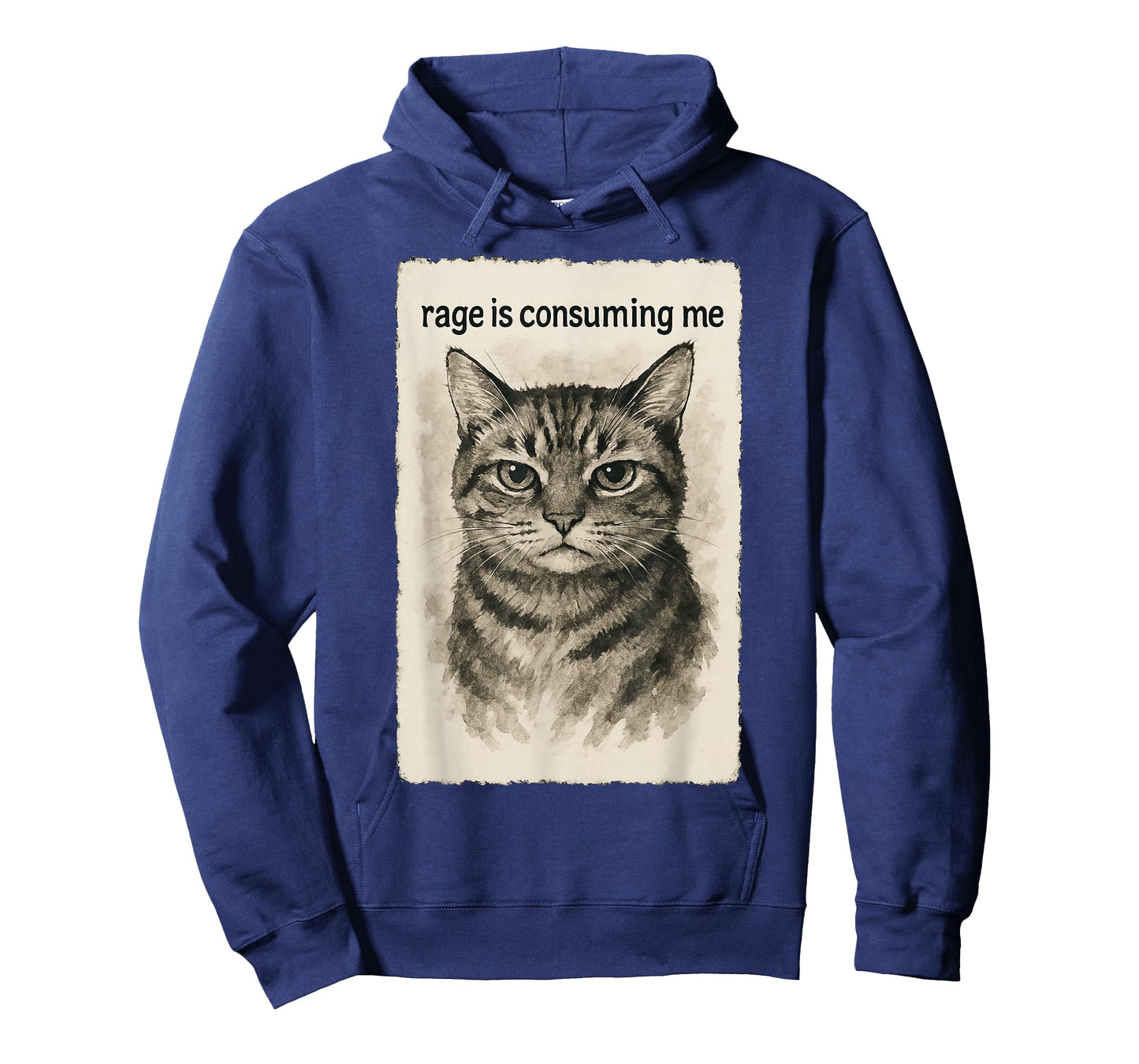 Rage is Consuming Me Funny Silly Staring Cat Meme Sumi-e T-Shirt