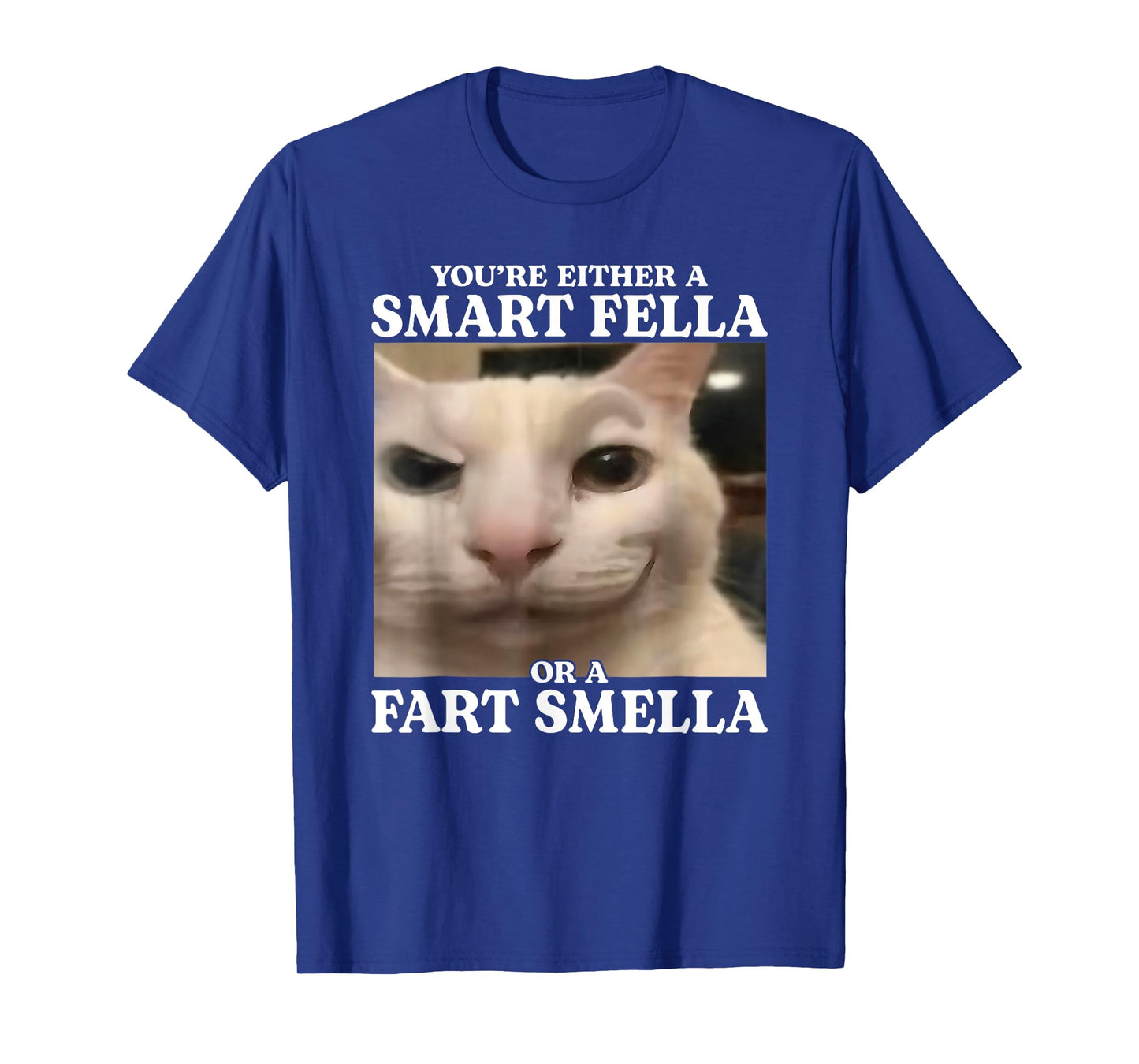 You're Either a Smart Fella or a Fart Smella Funny Cat Meme T-Shirt