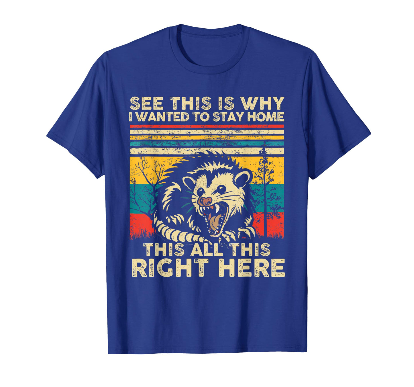 See This Is Why I Wanted To Stay Home This All This Right T-Shirt