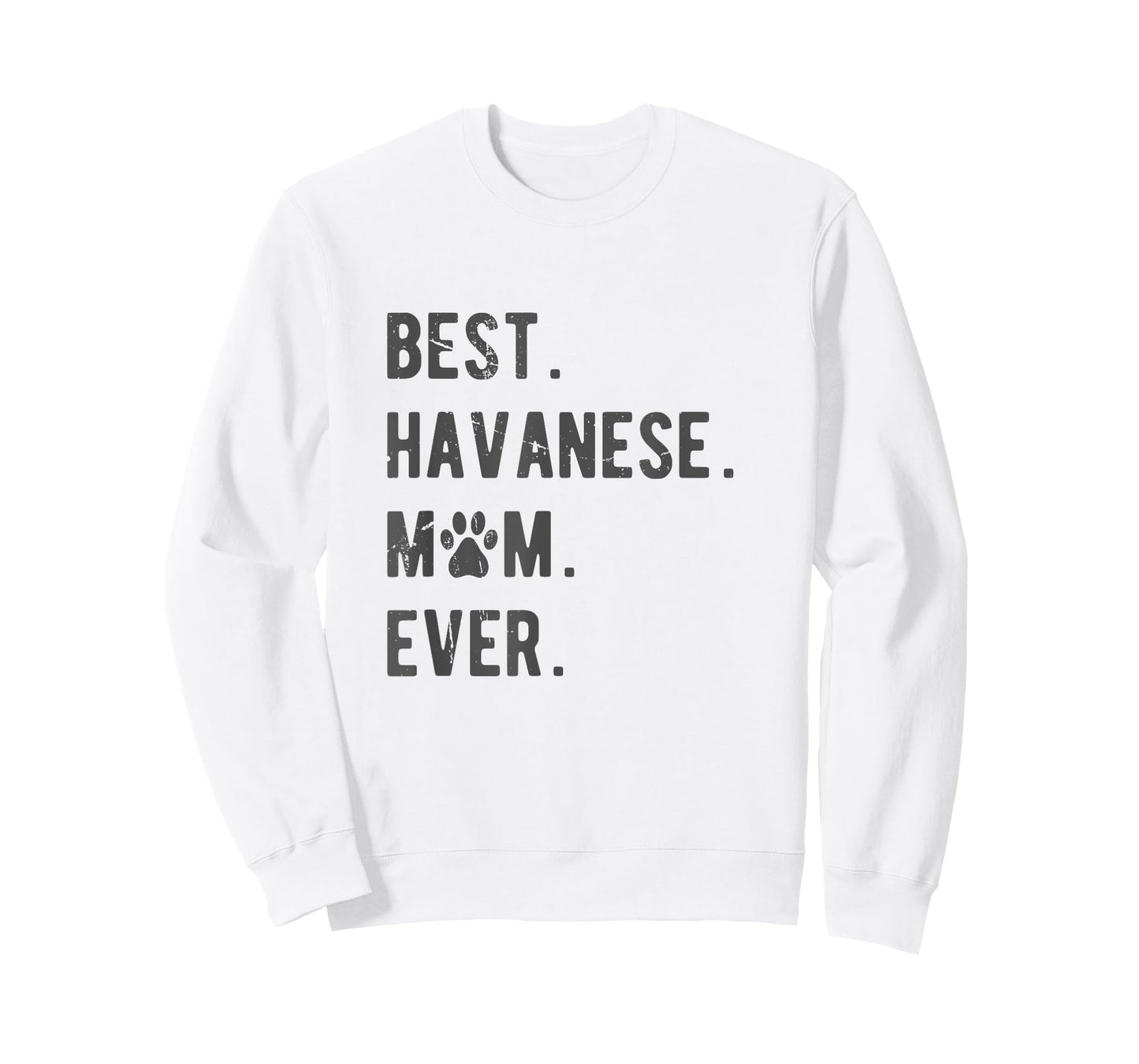 Best Havanese Mom Ever - Funny Havanese Dog Lover Gift Women T-Shirt
