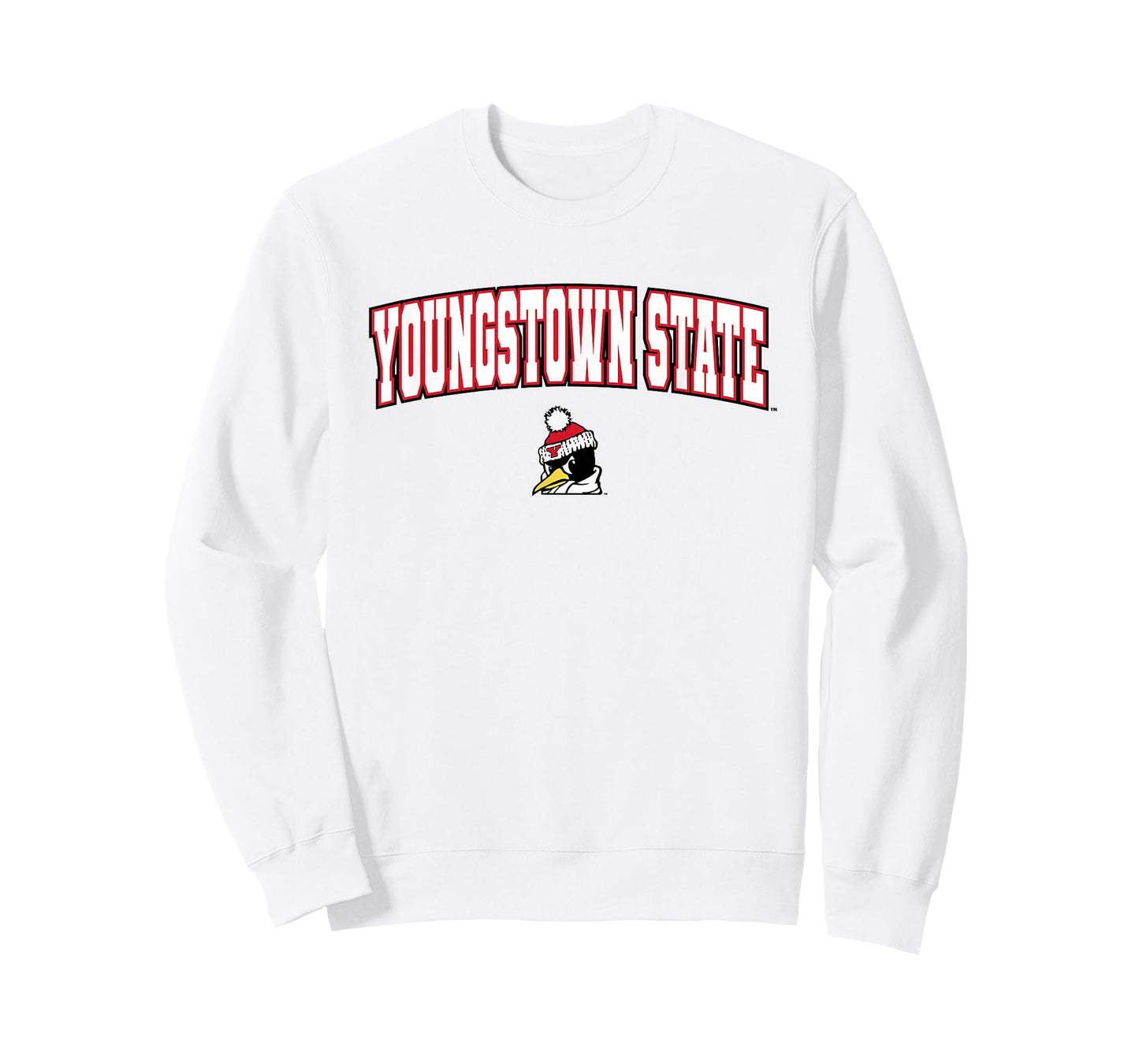 Youngstown State University Penguins Arch Logo T-Shirt