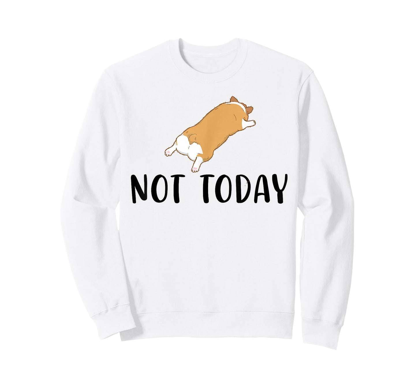 Corgi Funny Not Today Corgi Dog Lover T-Shirt