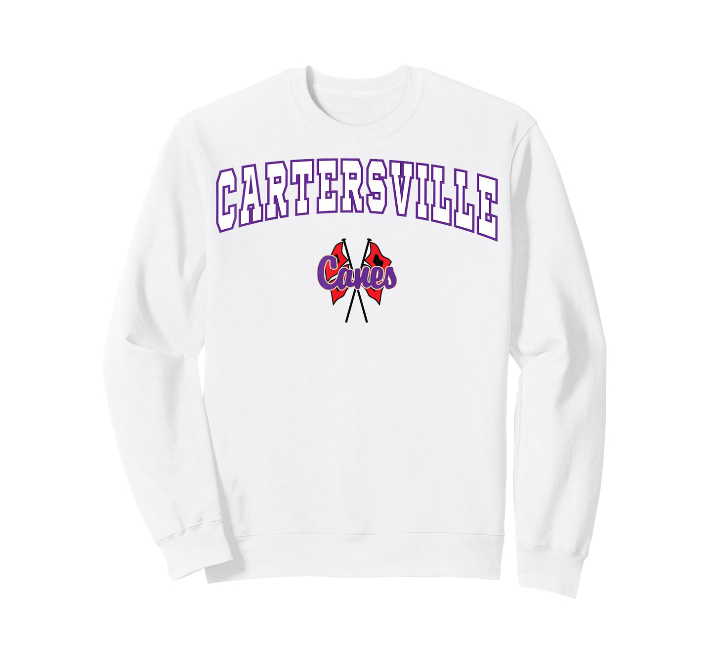 Cartersville High School Purple Hurricanes T-Shirt