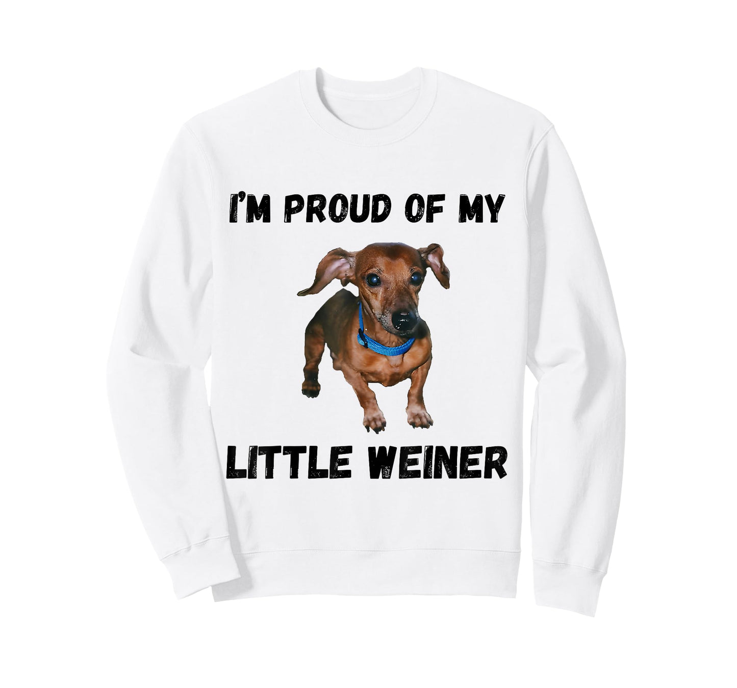 I'm Proud Of My Little Weiner Funny Dachshund Dog Lover T-Shirt