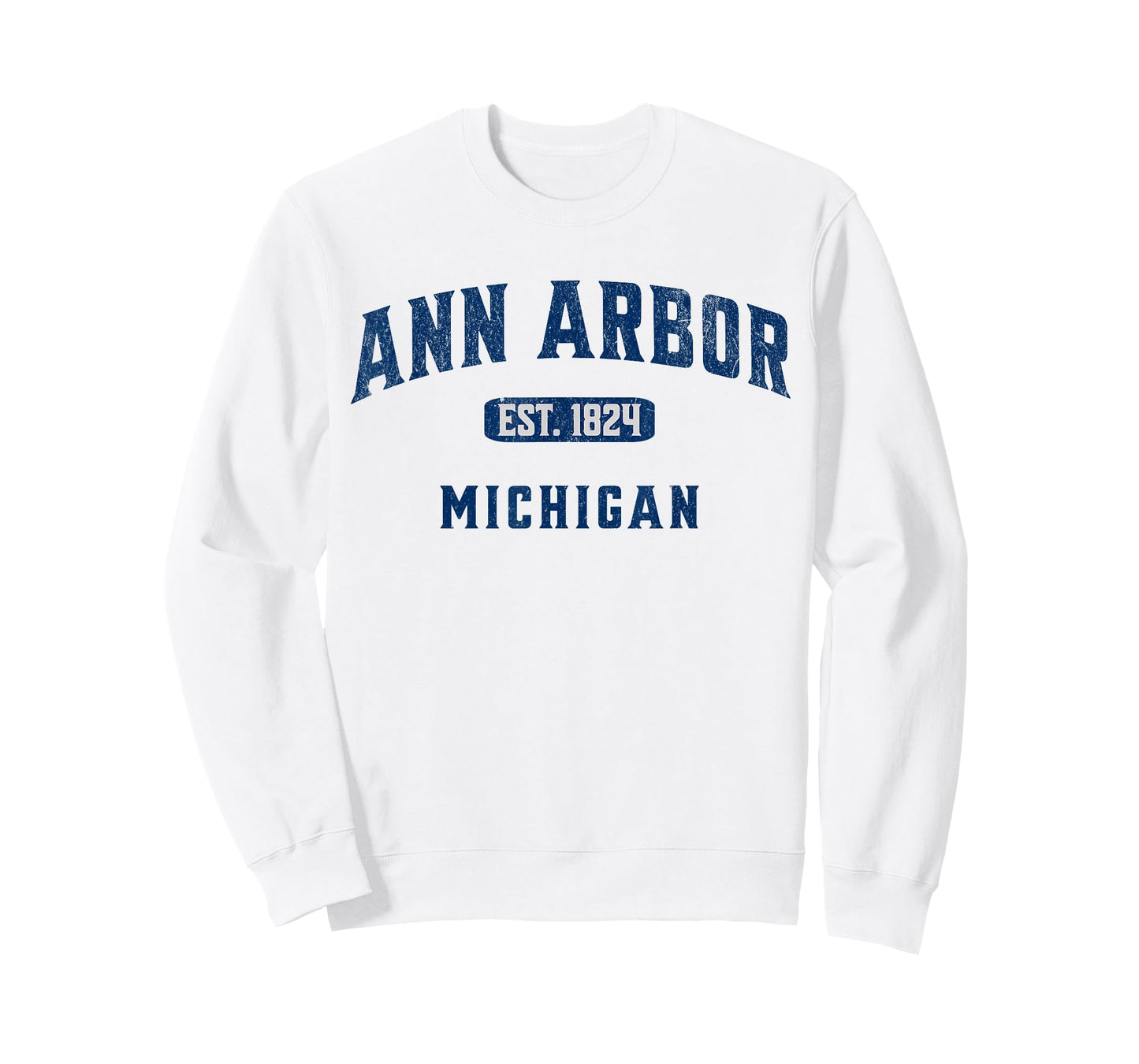 USA City Visit Ann Arbor Michigan Vintage Athletic Souvenir T-Shirt