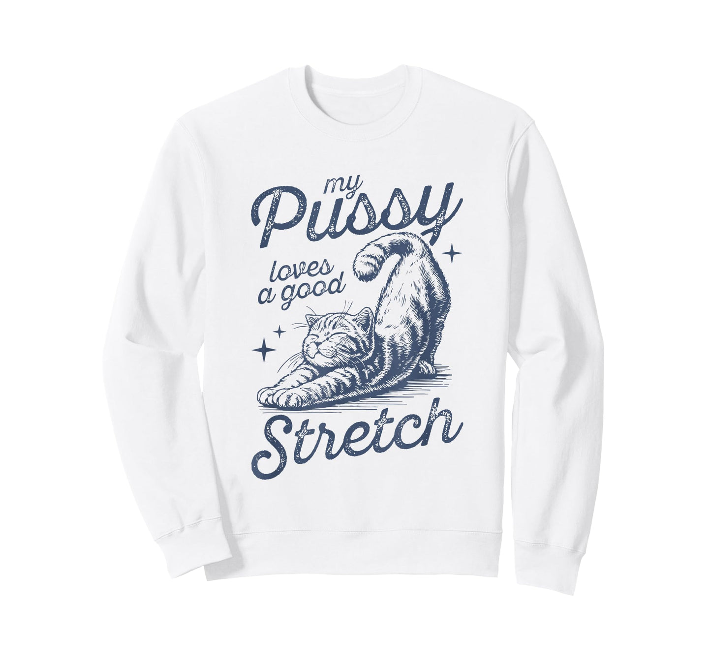 My Pussy Loves A Good Stretch Funny Meme T-Shirt