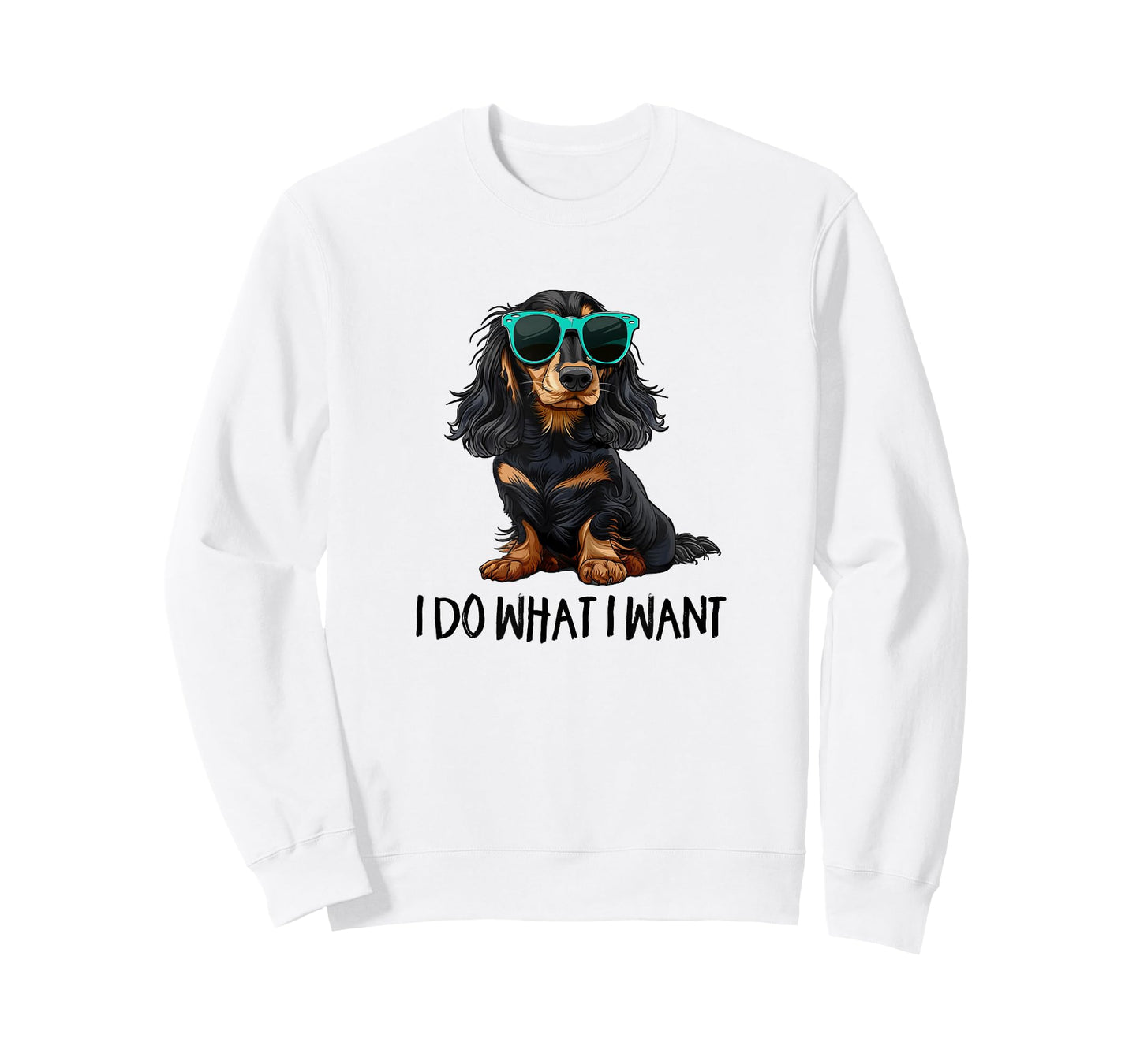 Funny Do What I Want Black Long Haired Dachshund Lover T-Shirt
