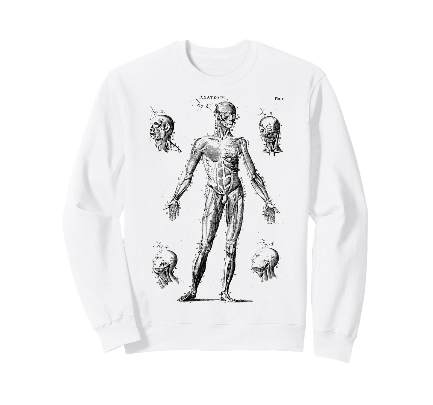 Human Muscle Anatomy Medical Anatomy T-Shirt