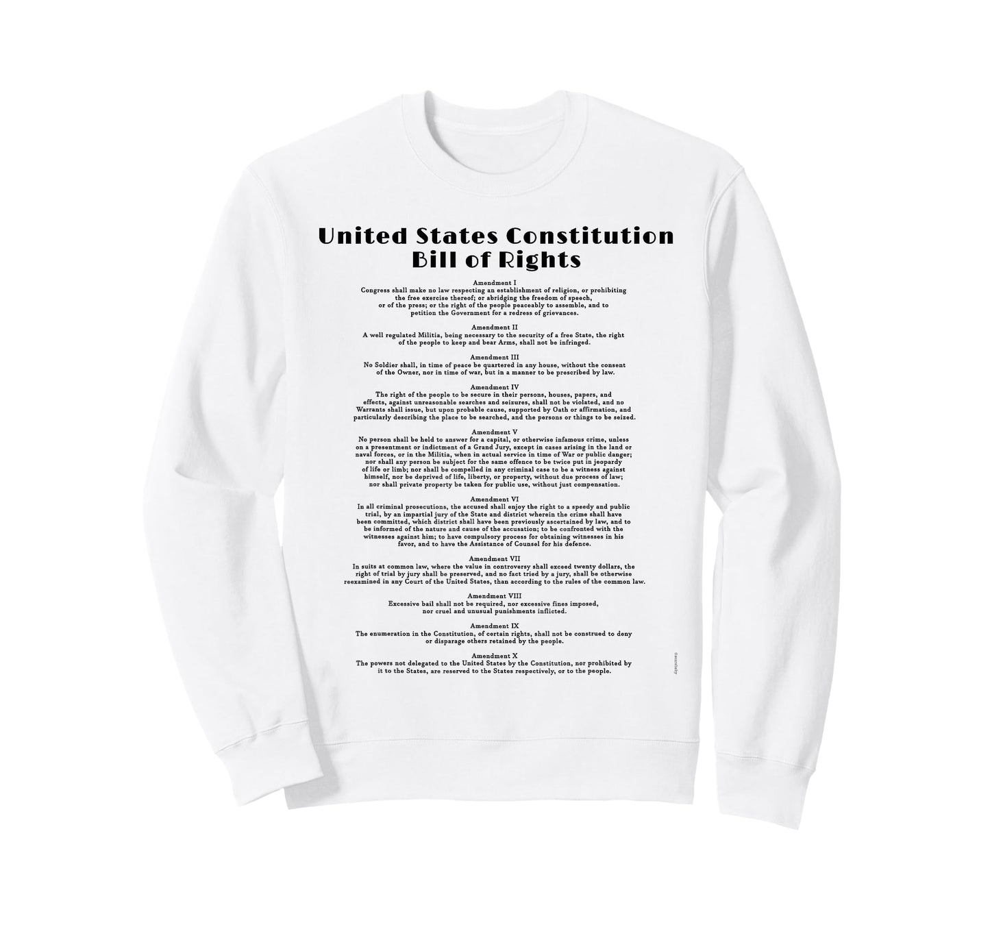 BILL OF RIGHTS T-SHIRT US CONSTITUTION T-Shirt