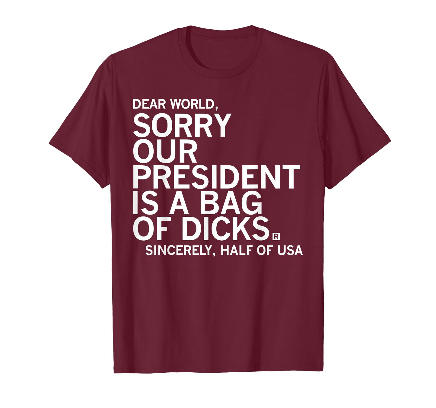 Dear World Sorry Our President Is A Bag Funny Of Dccks Meme T-Shirt