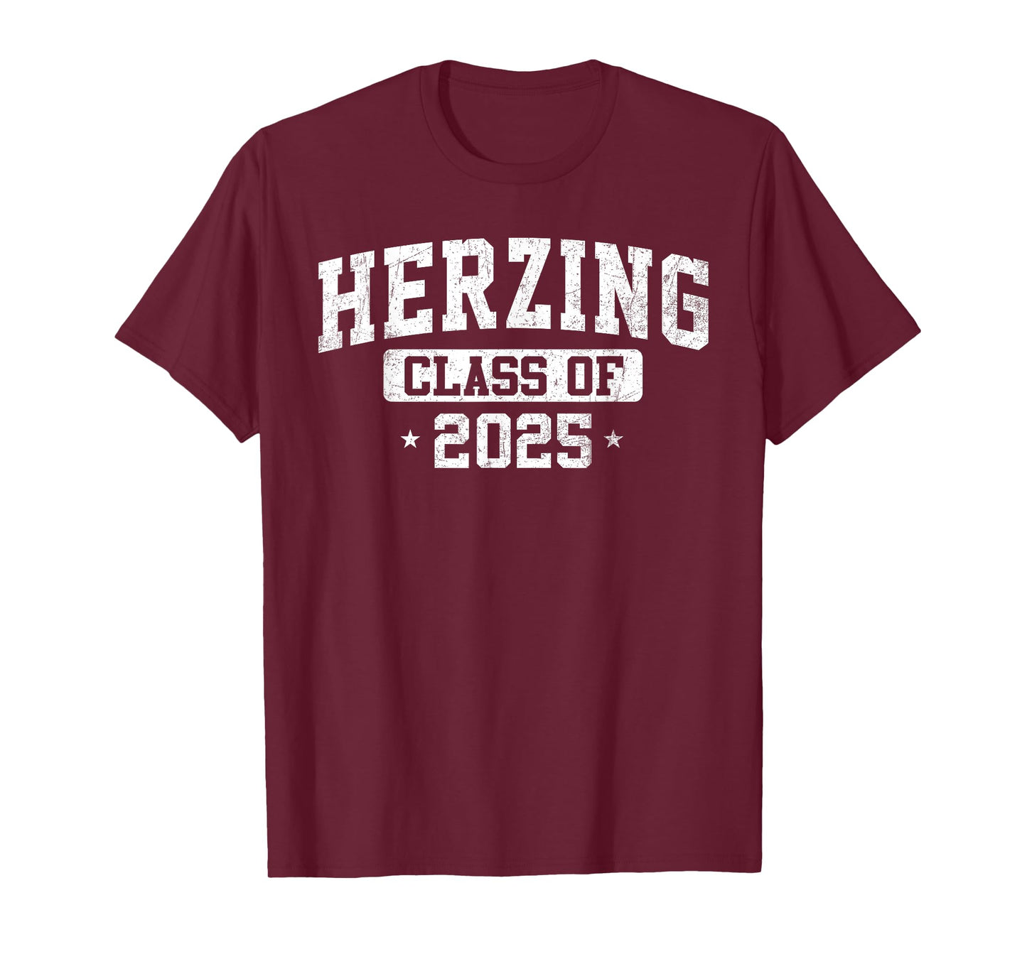 Herzing University Class of 2025 Graduate Arch Vintage T-Shirt