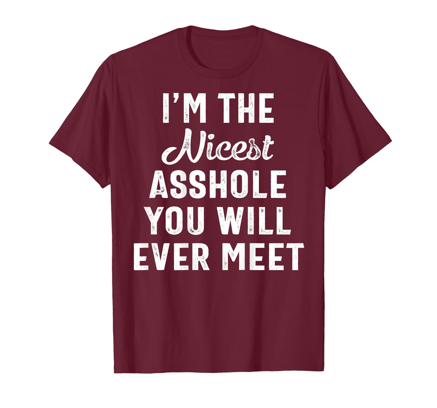 I'm The Nicest Asshole You Will Ever Meet ON Back T-Shirt