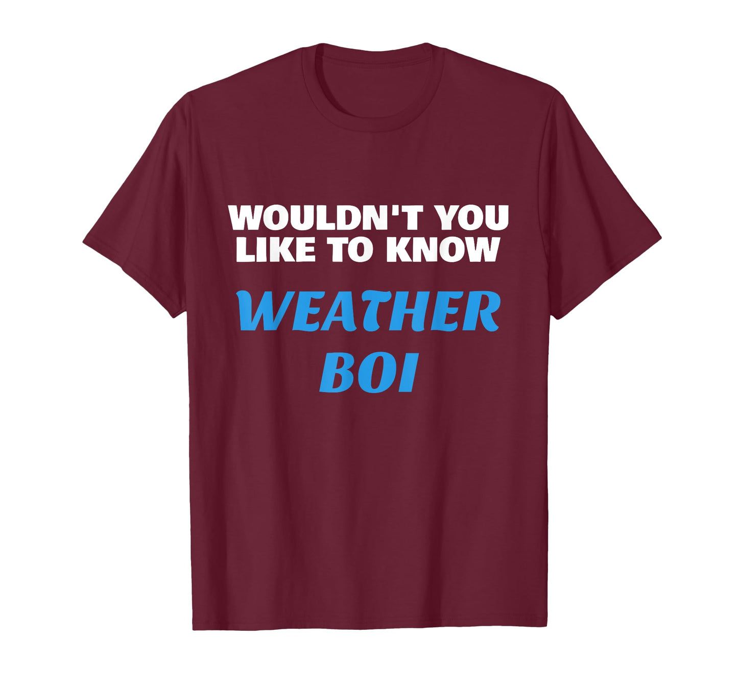 Wouldn't You Like To Know Weather Boi, Funny Video T-Shirt