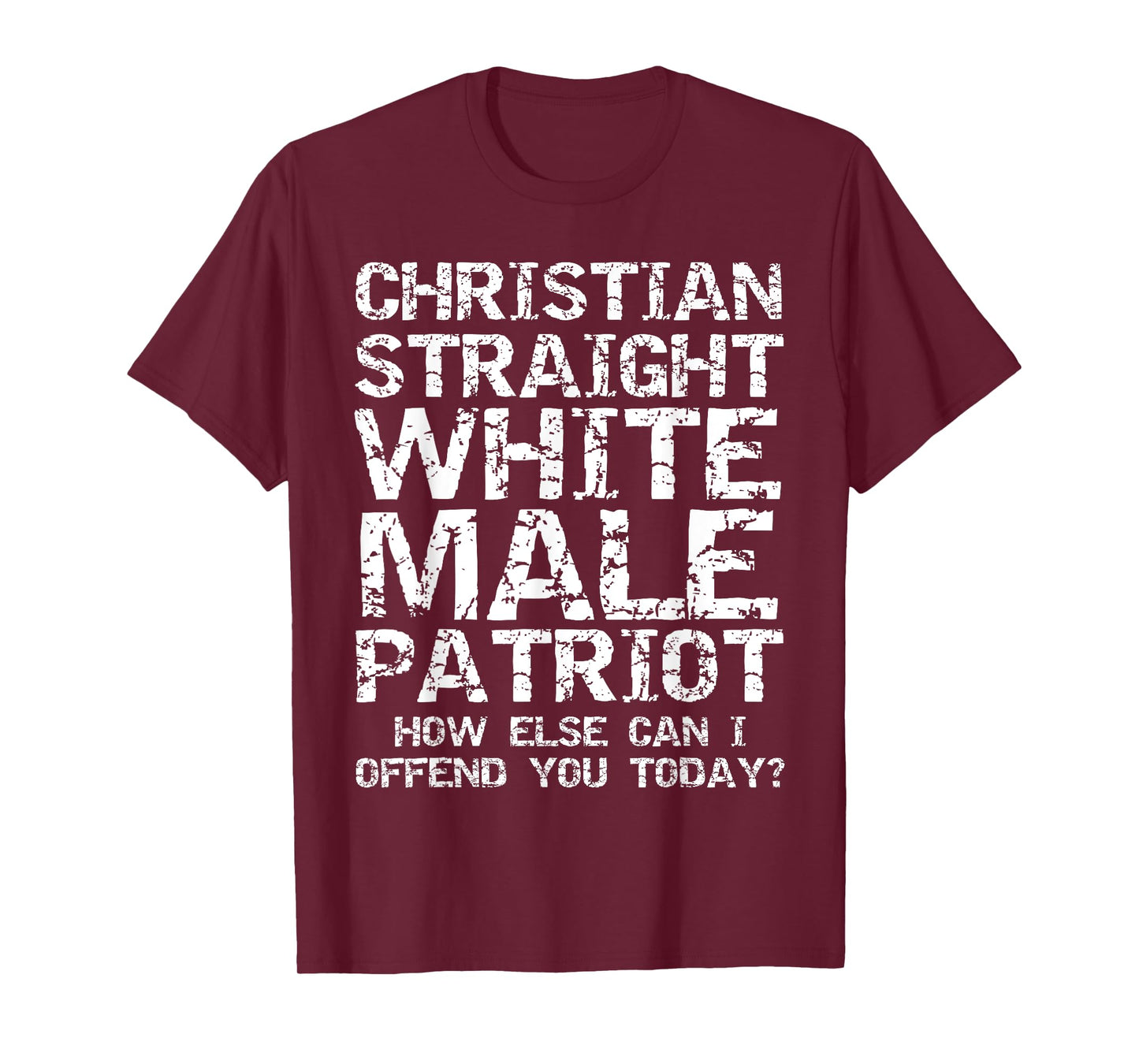How Else Can I Offend You Today? Conservative Christian T-Shirt
