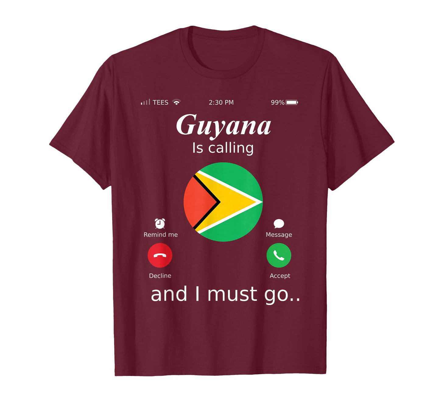 Guyana Is Calling and I Must Go Guyana Flag shirt T-Shirt