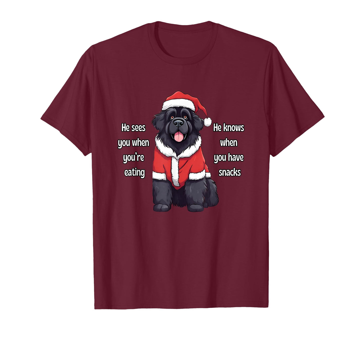 He Sees You When You're Eating Funny Newfoundland Christmas T-Shirt