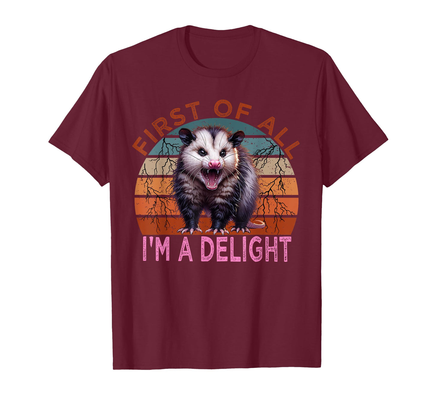 First of all I'm a Delight Sarcastic Angry Possum Lover T-Shirt