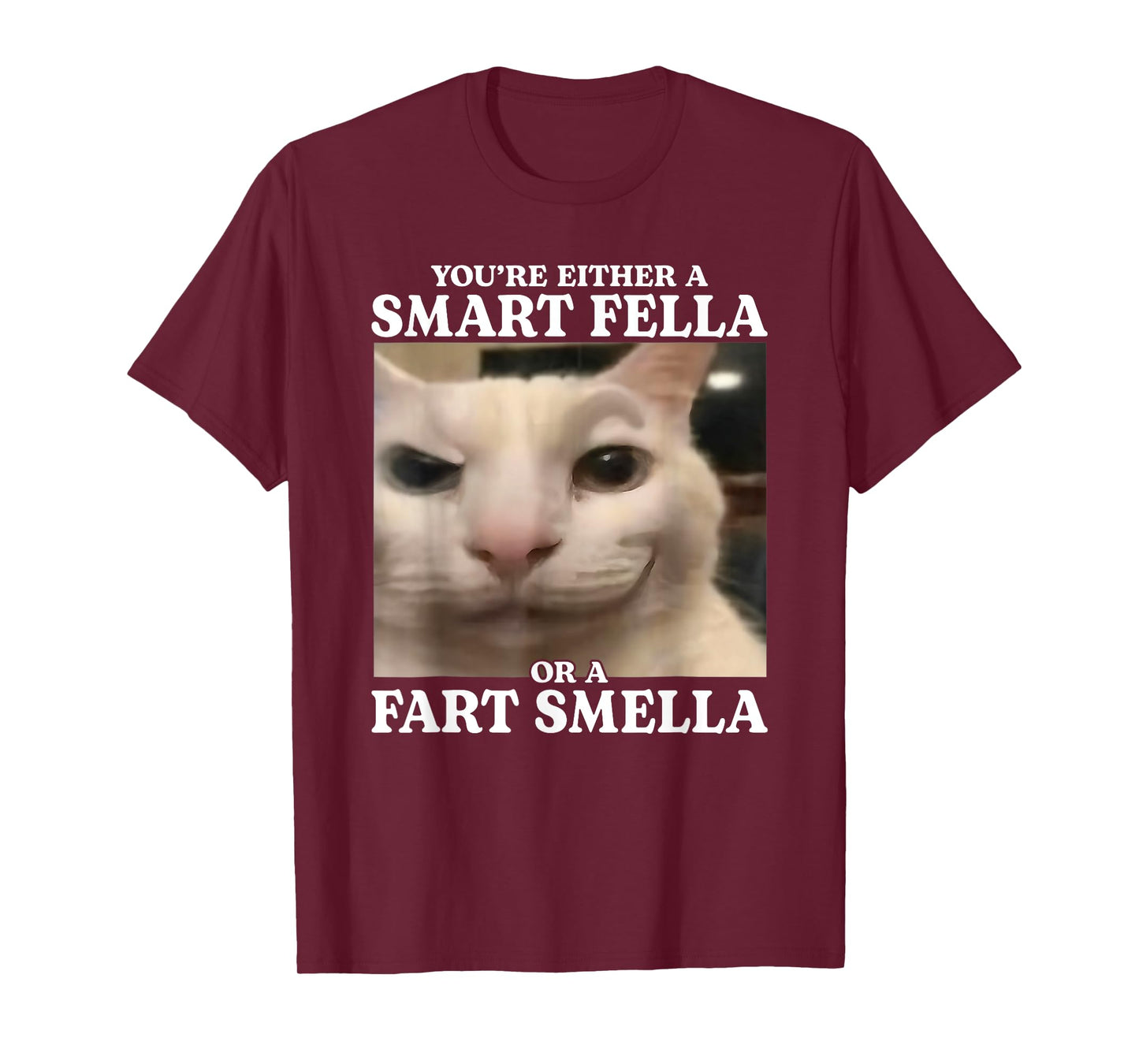 You're Either a Smart Fella or a Fart Smella Funny Cat Meme T-Shirt