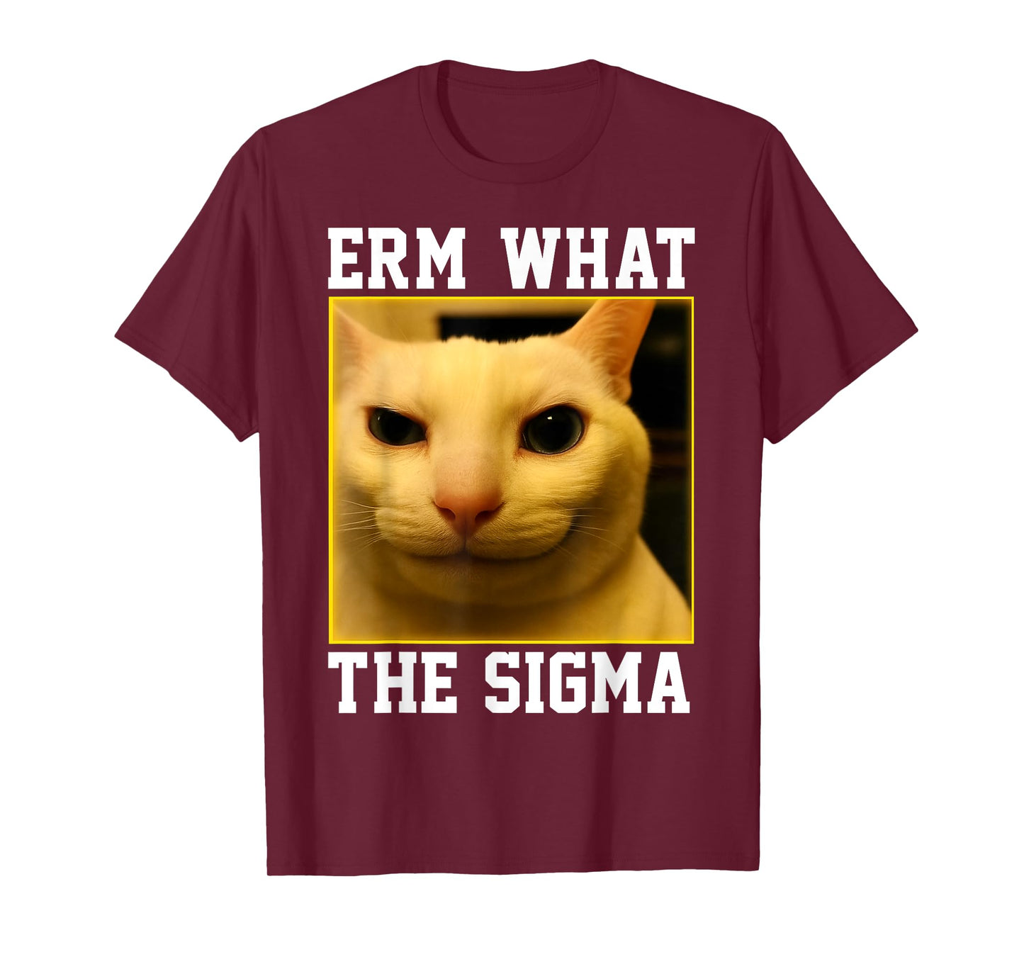 HUGvyn Funny Meme Cat: Erm, What The Sigma Silly Cat Humor T-Shirt