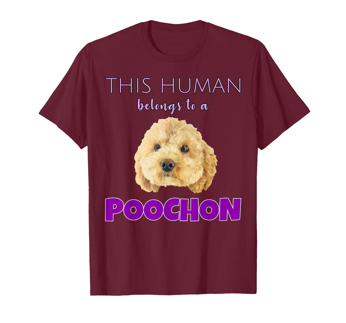 This Human belongs to a Poochon puppy dog owner gift T-Shirt