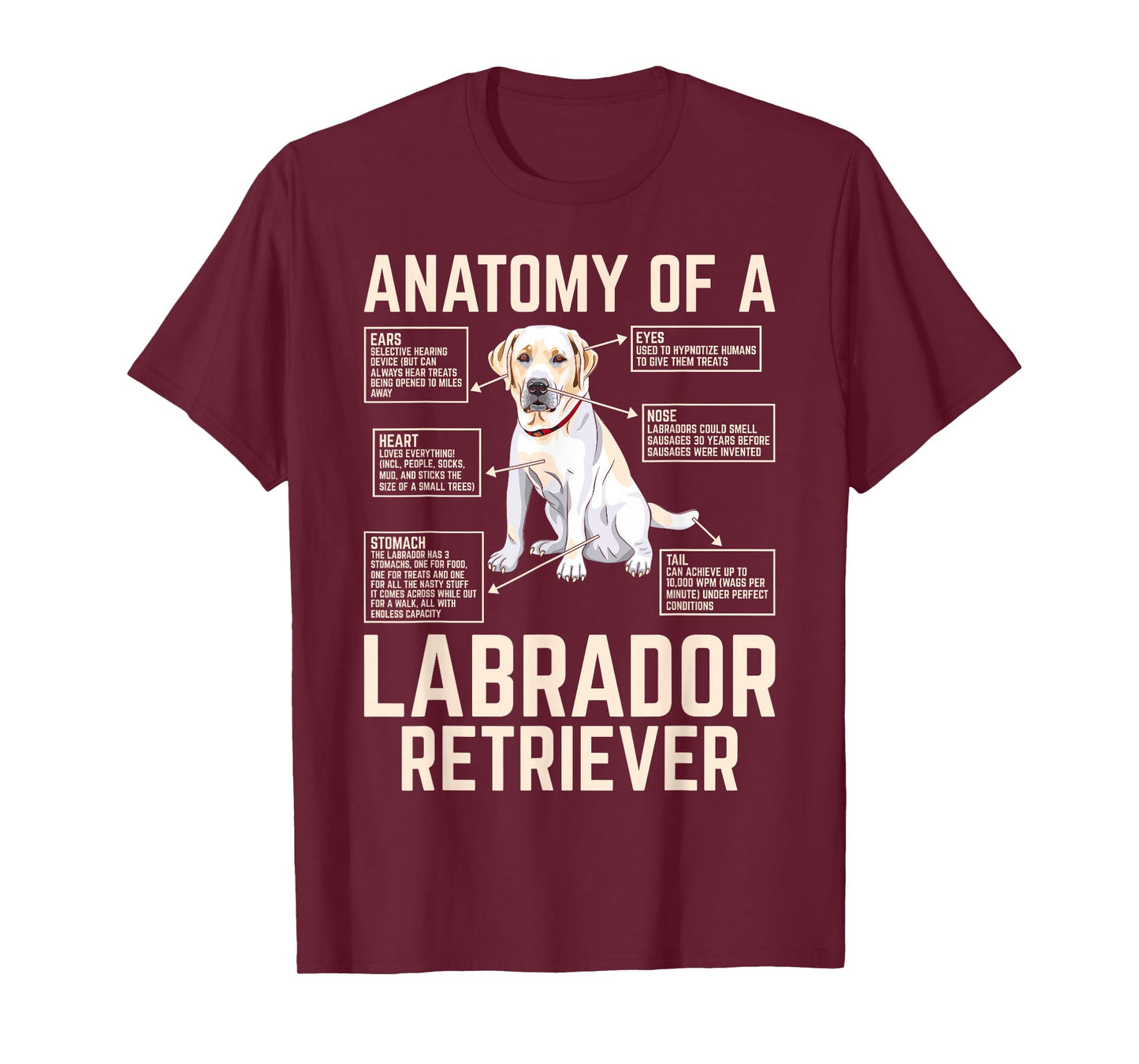 Anatomy of a Labrador Retriever T-Shirt