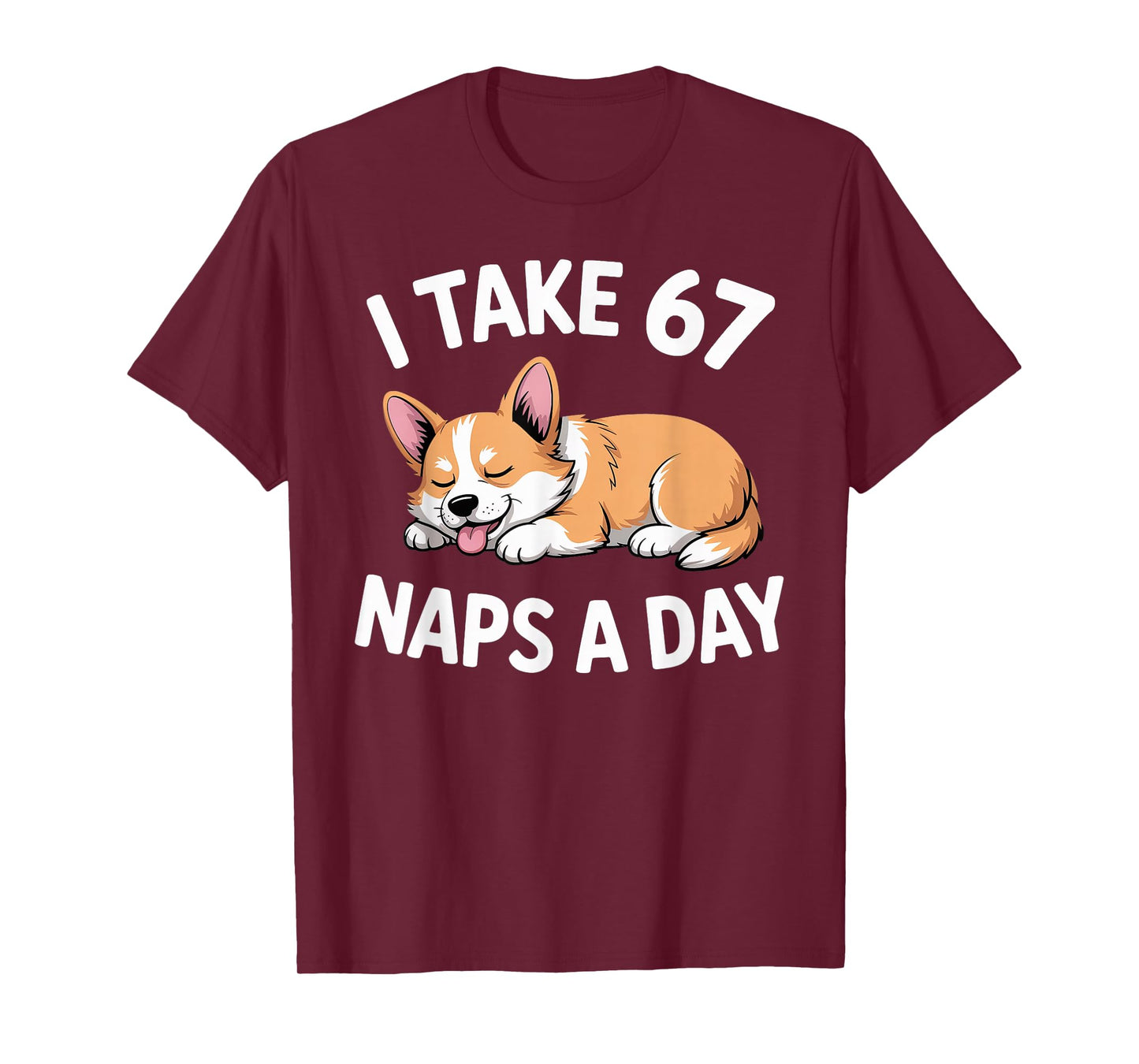 I Take 67 Naps A Day Funny Dog Corgi Six Seven Meme T-Shirt