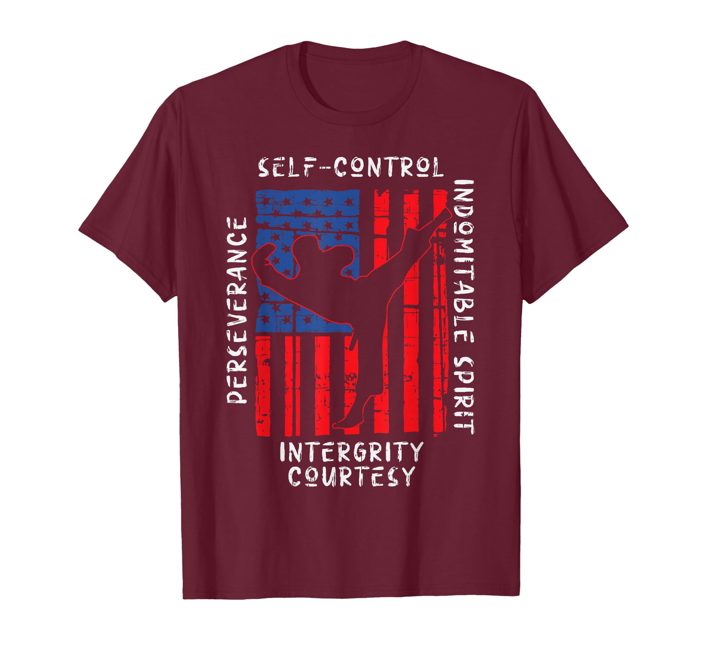 US Flag Taekwondo Five Tenets Vintage Martial Art Lover Gift T-Shirt