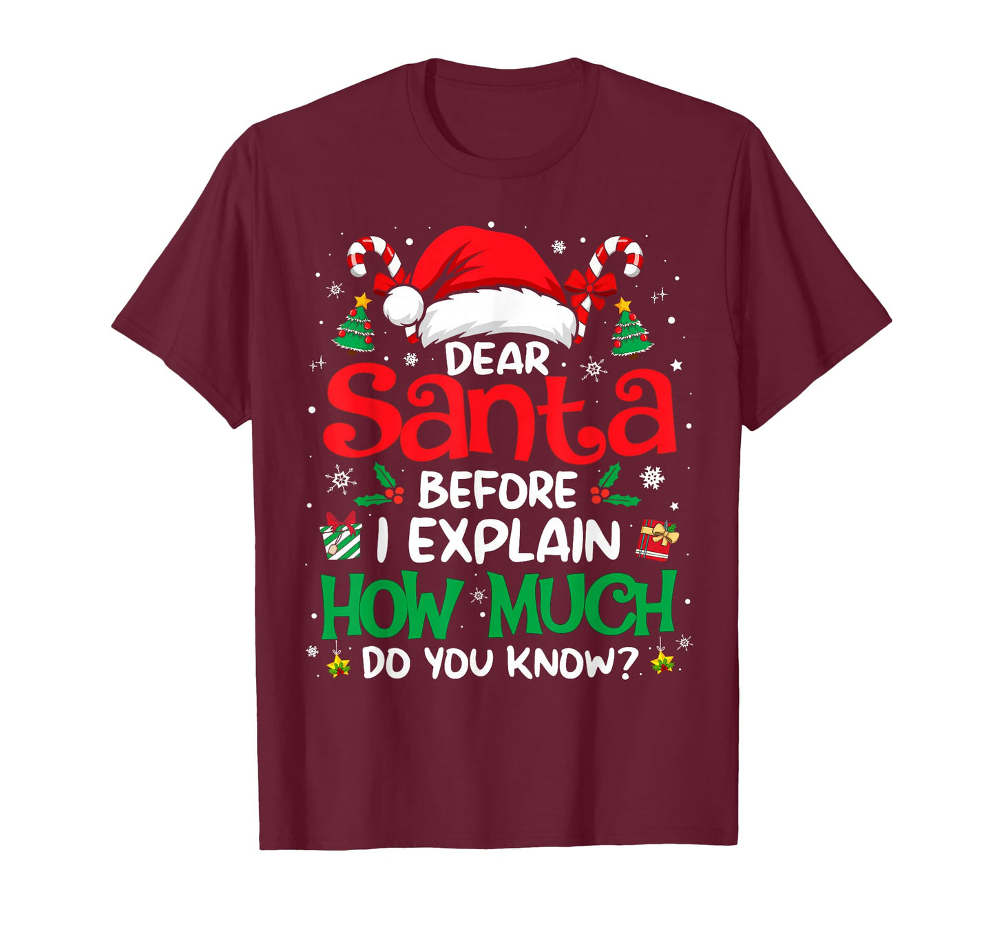 Dear Santa I Can Explain Funny Christmas Men Women Kids T-Shirt