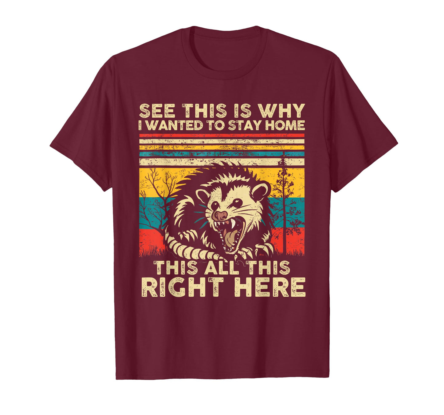 See This Is Why I Wanted To Stay Home This All This Right T-Shirt