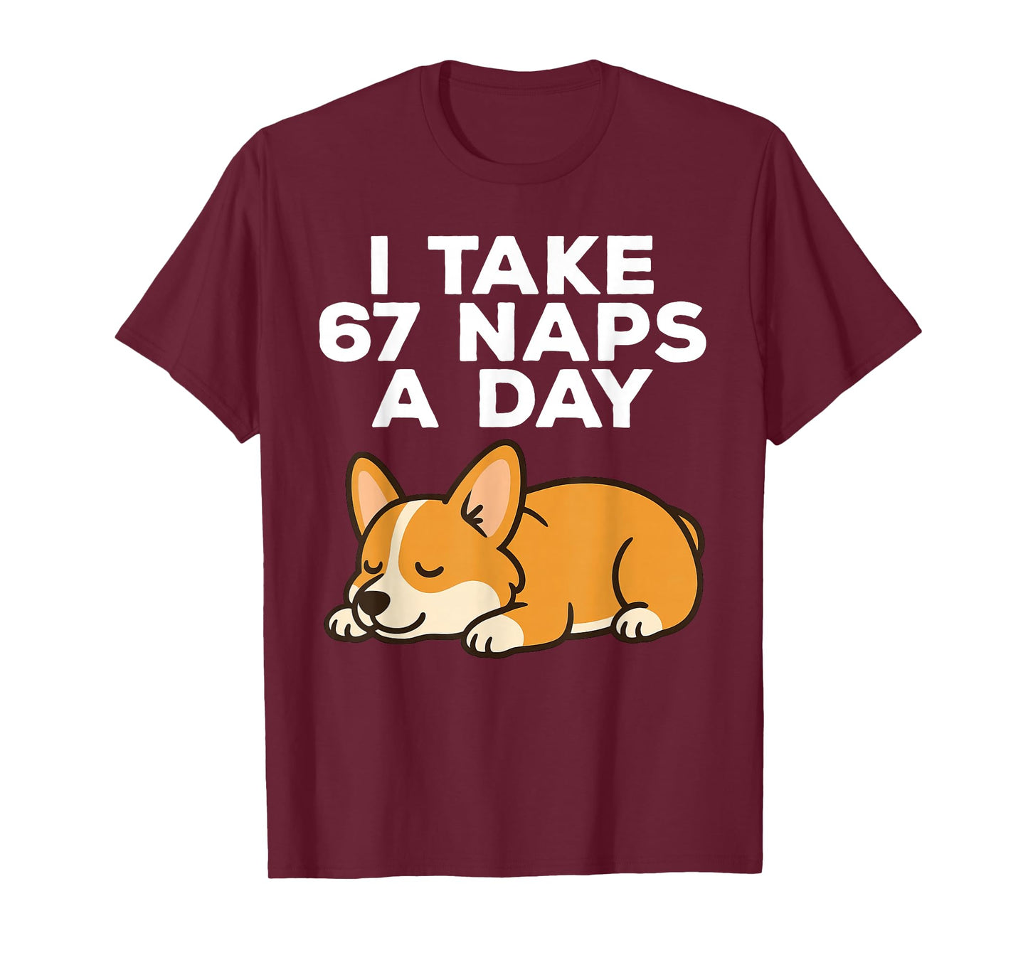 I Take 67 Naps A Day Funny Dog Corgi Six Seven Meme T-Shirt