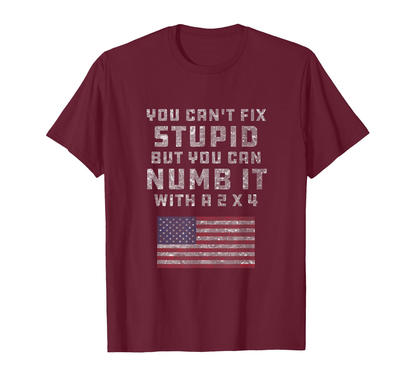 You Can't Fix Stupid But You Can Numb it With a 2x4 Joke T-Shirt