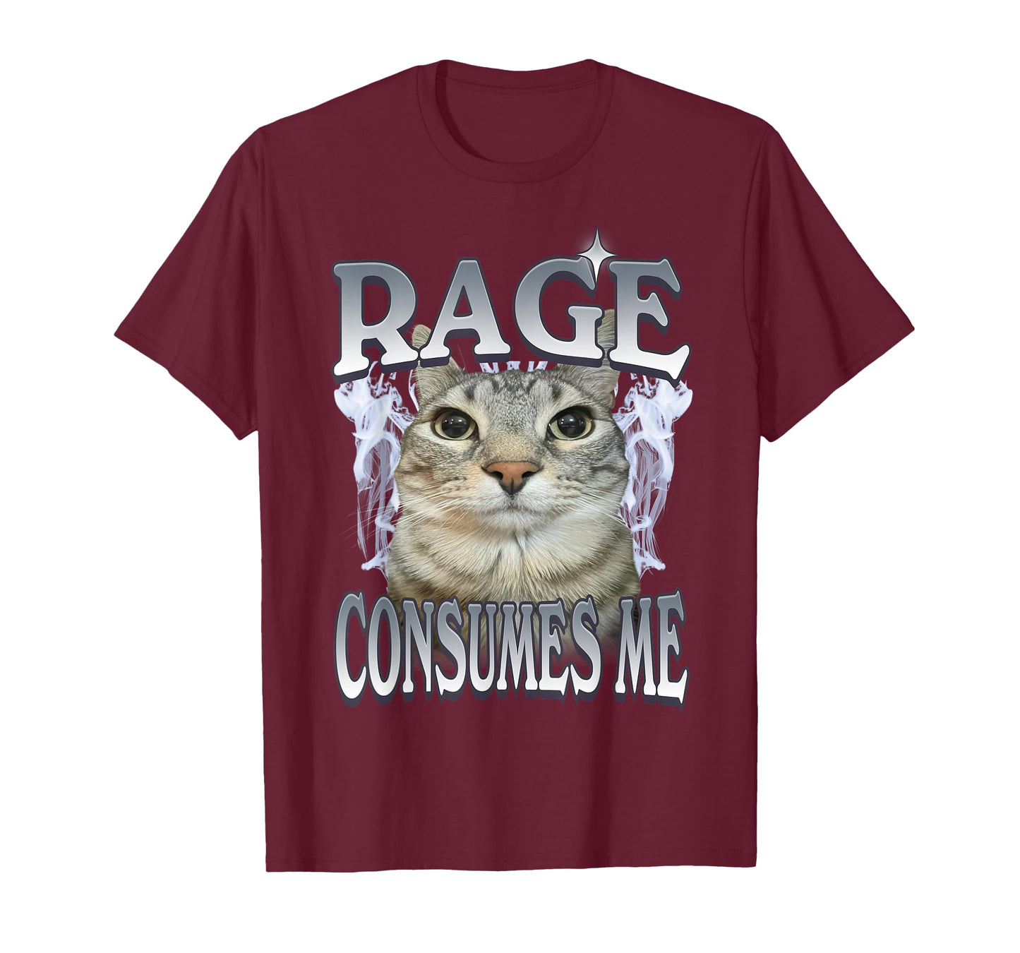 Rage Consumes Me Cat Meme Vintage Feline Funny Artwork T-Shirt