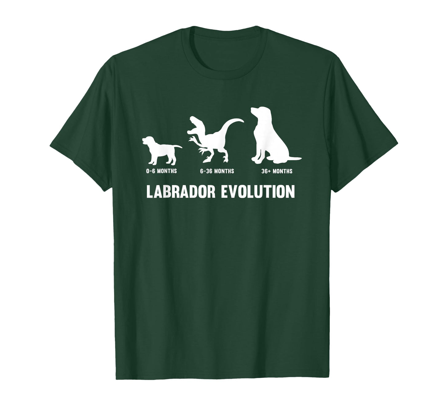 Labrador Retriever Evolution Design for a Labrador Owner T-Shirt Small