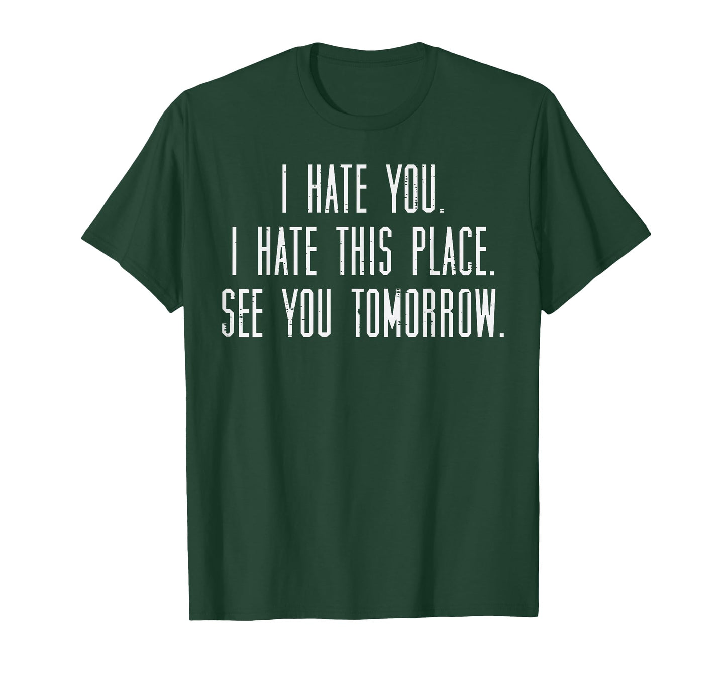 Gym I Hate You This Place See You Tomorrow Workout Men Women T-Shirt