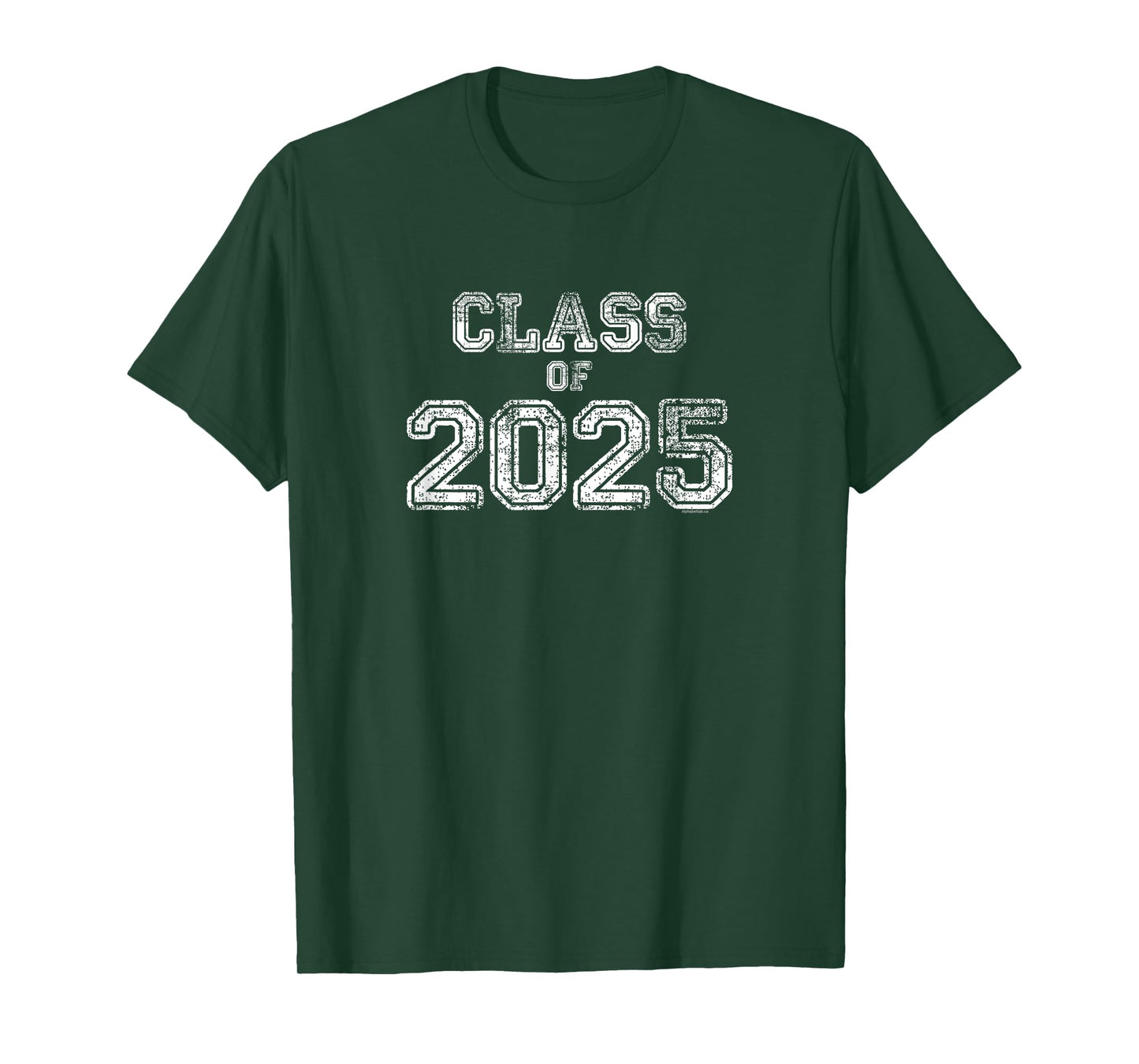 Class of 2025 | Senior 2025 Graduation Vintage School Spirit T-Shirt