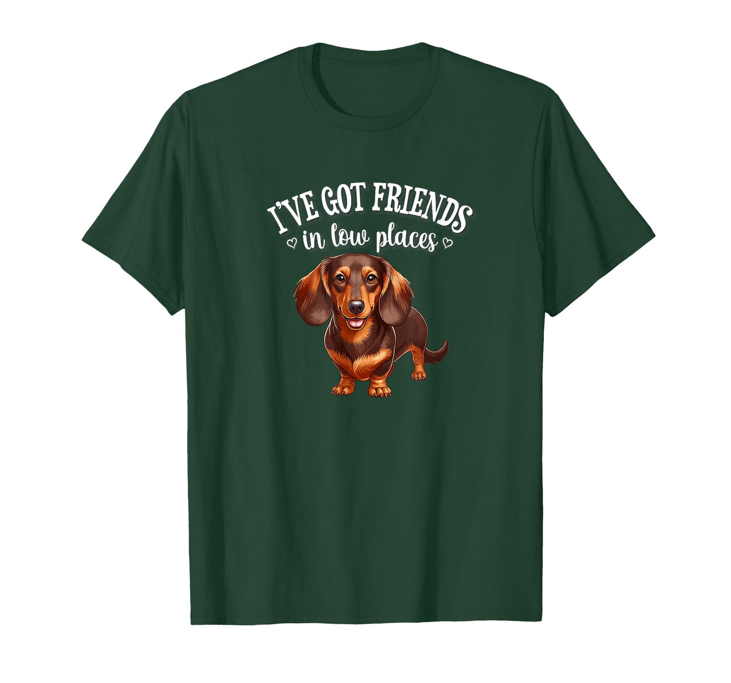 Funny Friends In Low Places Brown Dachshund Lover T-Shirt