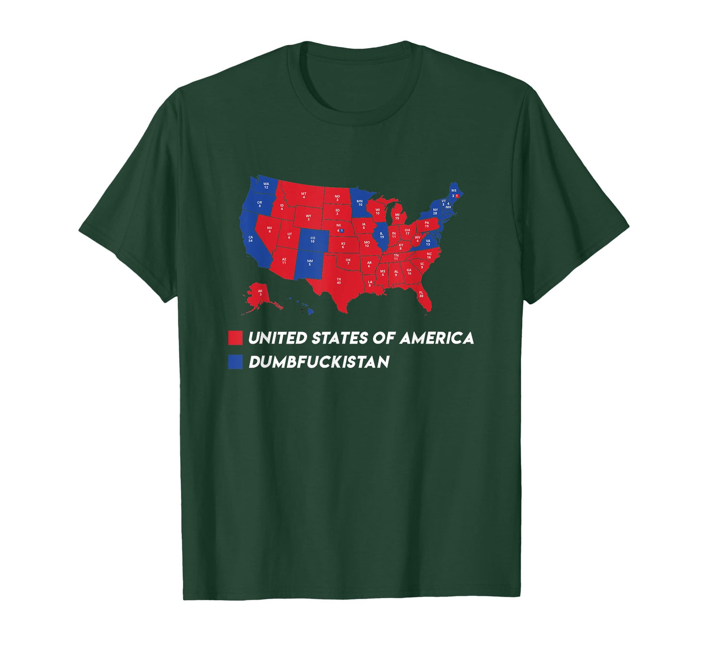 Election Map 2024 United States Of America Dumbfuckistan T-Shirt
