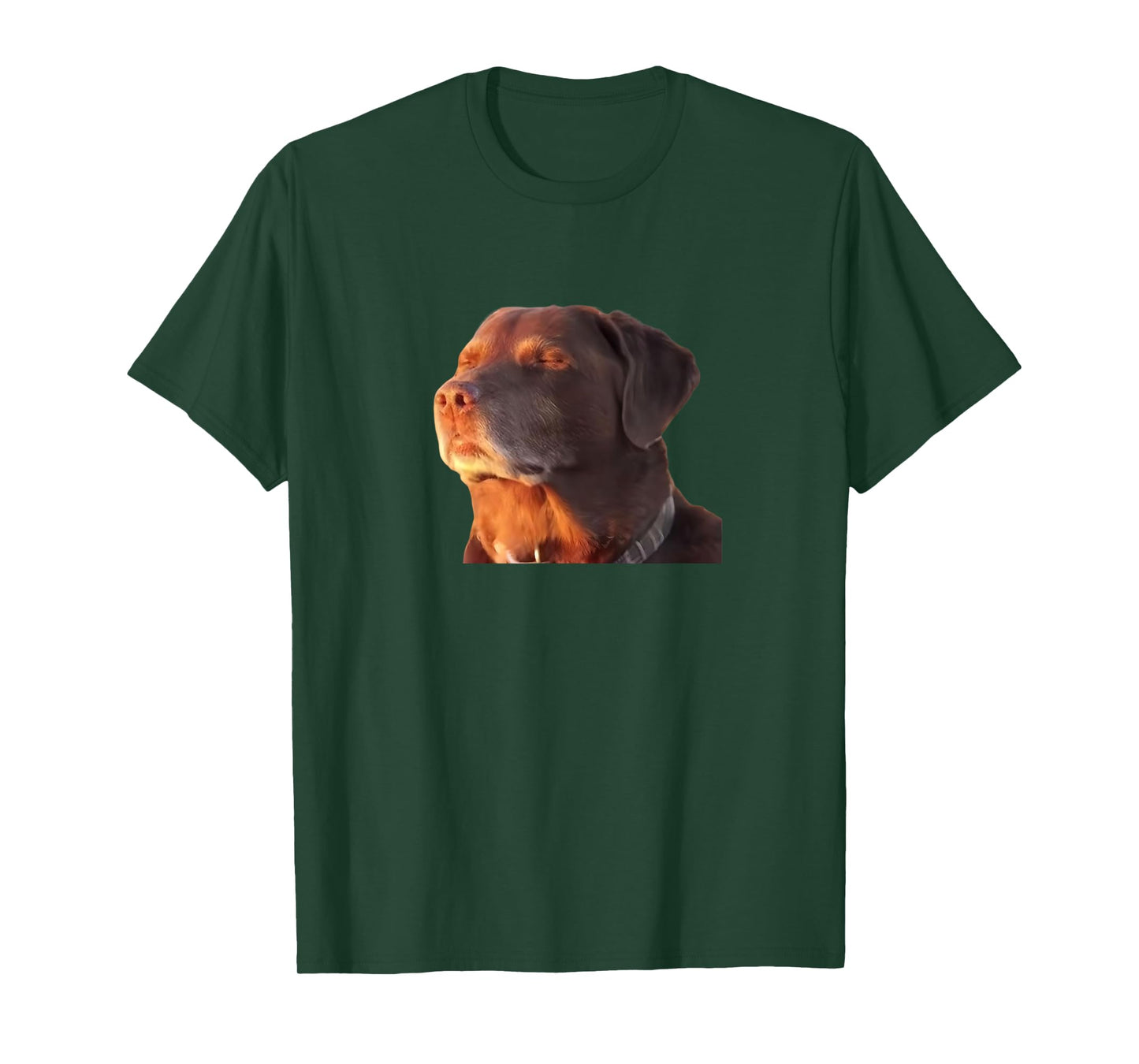 Dog Accepting His Fate Funny Men Women T-Shirt