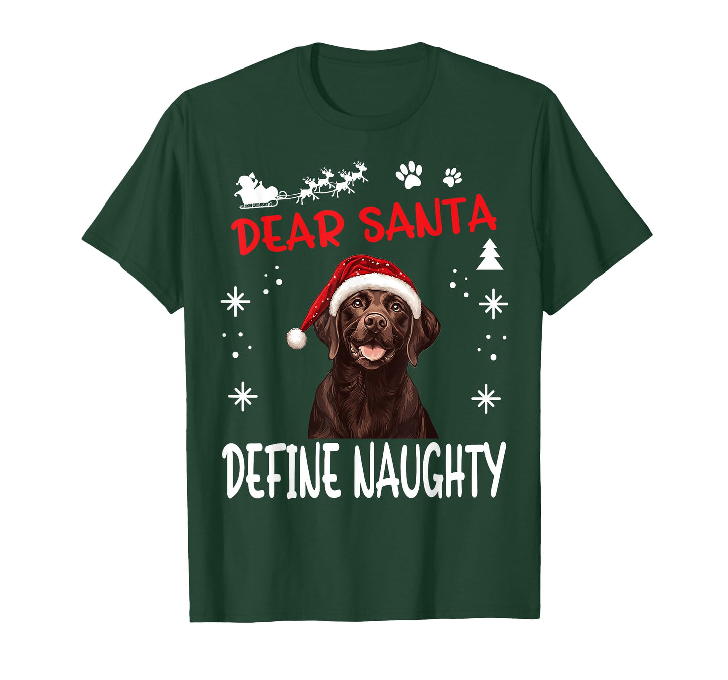 Cute Labrador Retriever Dog Christmas Dear Santa Define T-Shirt