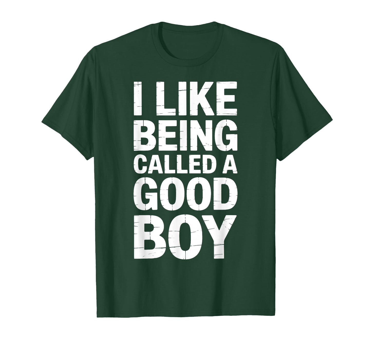 I Like Being Called A Good Boy T-Shirt
